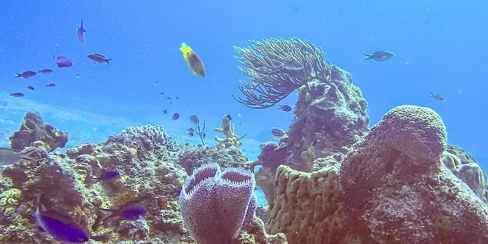Cozumel, Mexico