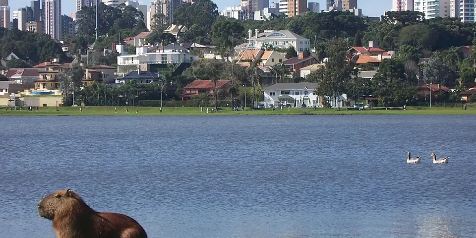 Curitiba, Brazil