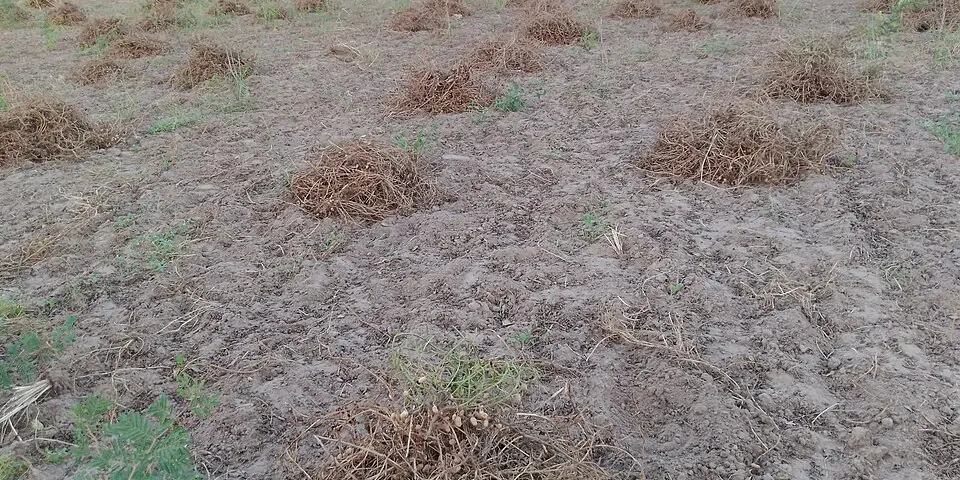 Kaolack, Senegal
