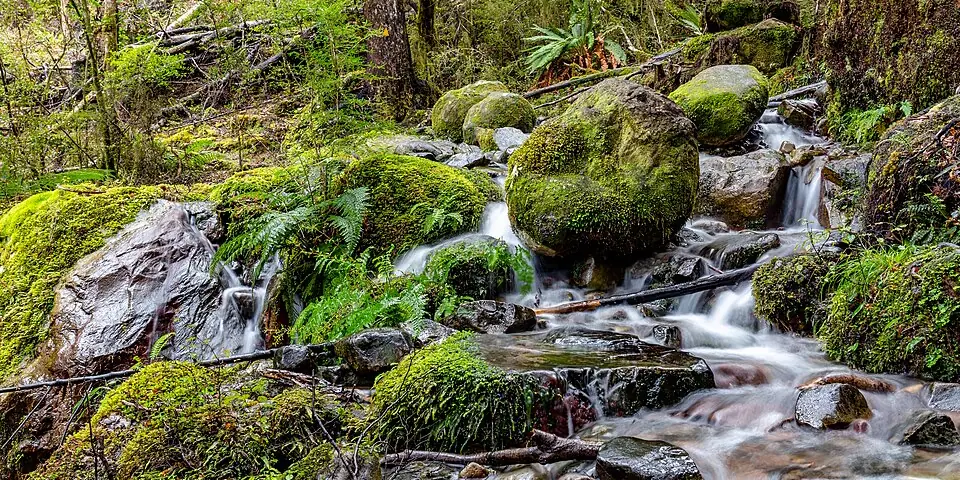 Nelson, New Zealand