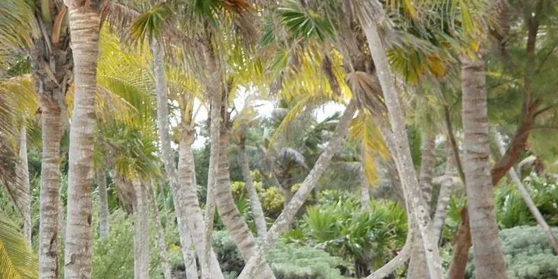 Playa del Carmen, Mexico