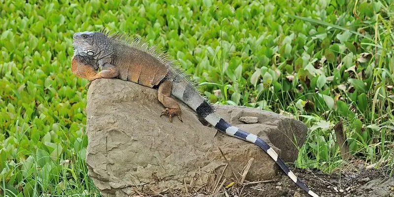 Portoviejo, Ecuador