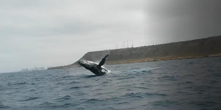 Salinas, Ecuador
