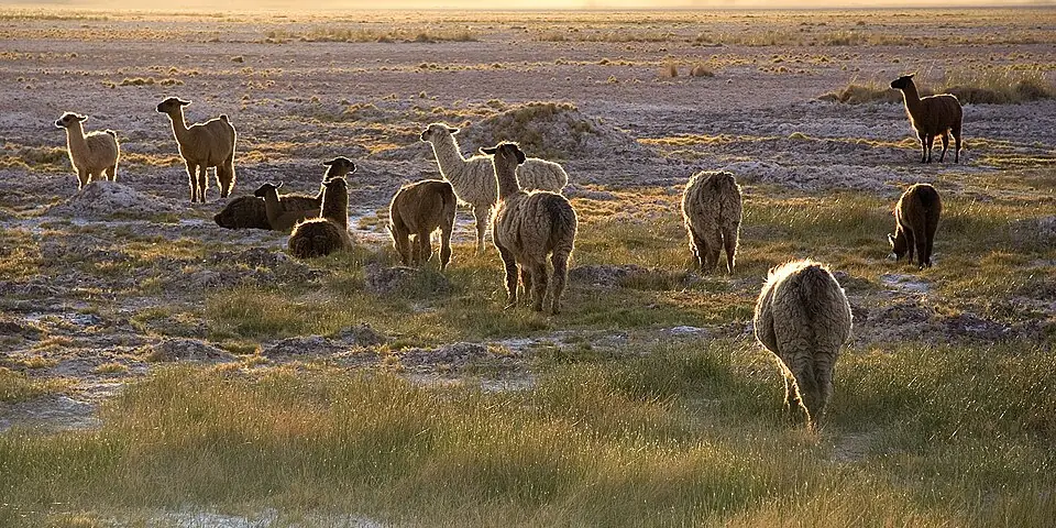 San Pedro de Atacama, Chile